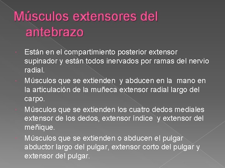 Músculos extensores del antebrazo Están en el compartimiento posterior extensor supinador y están todos