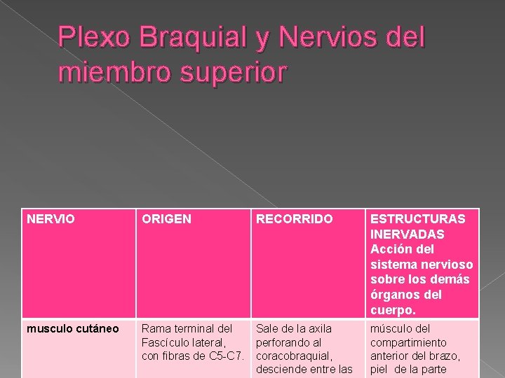 Plexo Braquial y Nervios del miembro superior NERVIO ORIGEN RECORRIDO ESTRUCTURAS INERVADAS Acción del