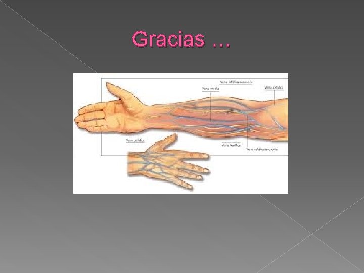 Gracias … 