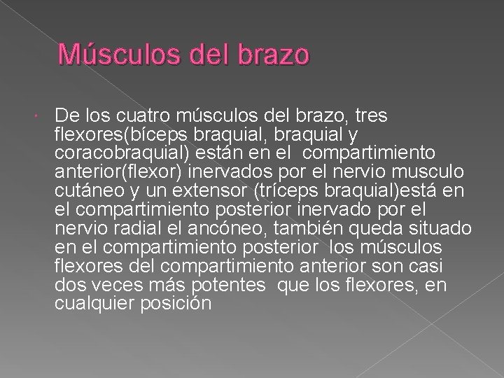 Músculos del brazo De los cuatro músculos del brazo, tres flexores(bíceps braquial, braquial y