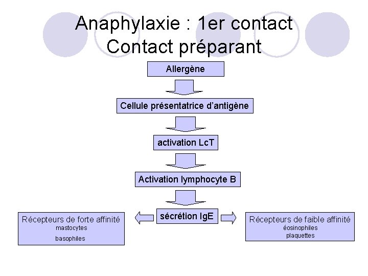 Anaphylaxie : 1 er contact Contact préparant Allergène Cellule présentatrice d’antigène activation Lc. T