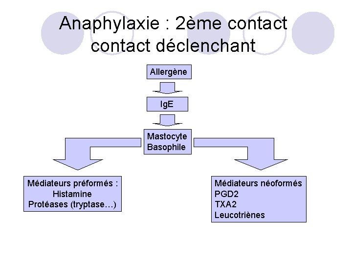 Anaphylaxie : 2ème contact déclenchant Allergène Ig. E Mastocyte Basophile Médiateurs préformés : Histamine