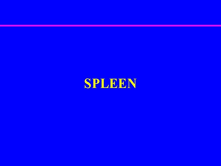 SPLEEN 