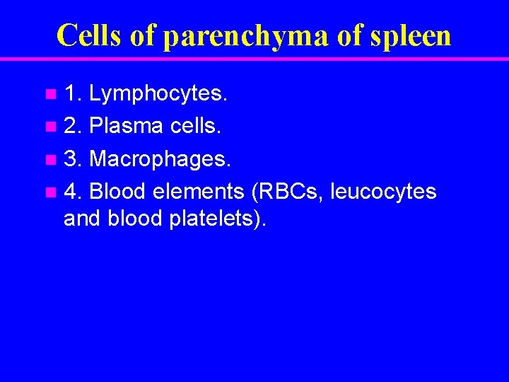 Cells of parenchyma of spleen 1. Lymphocytes. n 2. Plasma cells. n 3. Macrophages.