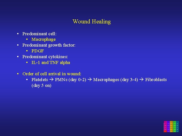 Wound Healing • Predominant cell: • Macrophage • Predominant growth factor: • PDGF •