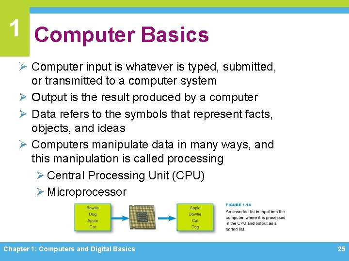 1 Computer Basics Ø Computer input is whatever is typed, submitted, or transmitted to