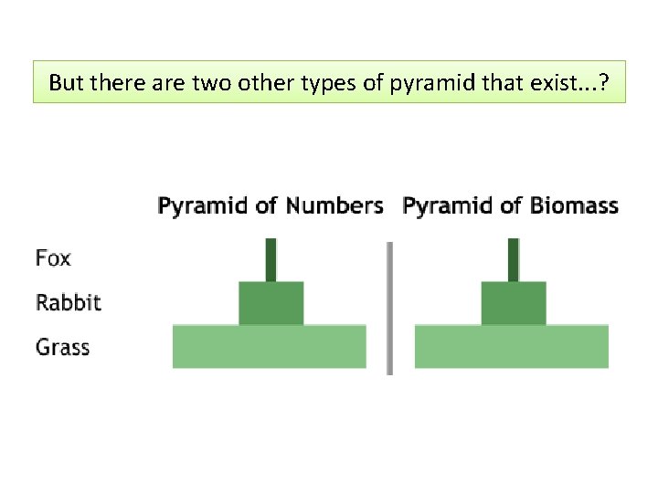 But there are two other types of pyramid that exist. . . ? 