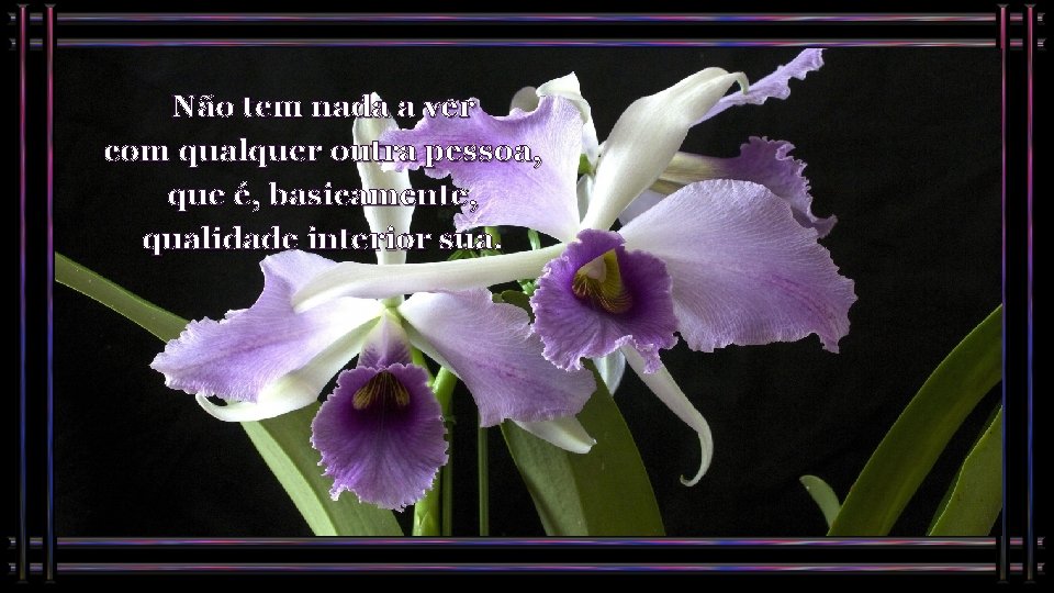 Não tem nada a ver com qualquer outra pessoa, que é, basicamente, qualidade interior