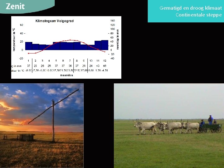 Gematigd en droog klimaat Continentale steppe 