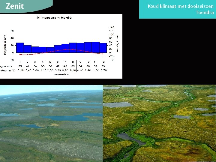 Koud klimaat met dooiseizoen Toendra 