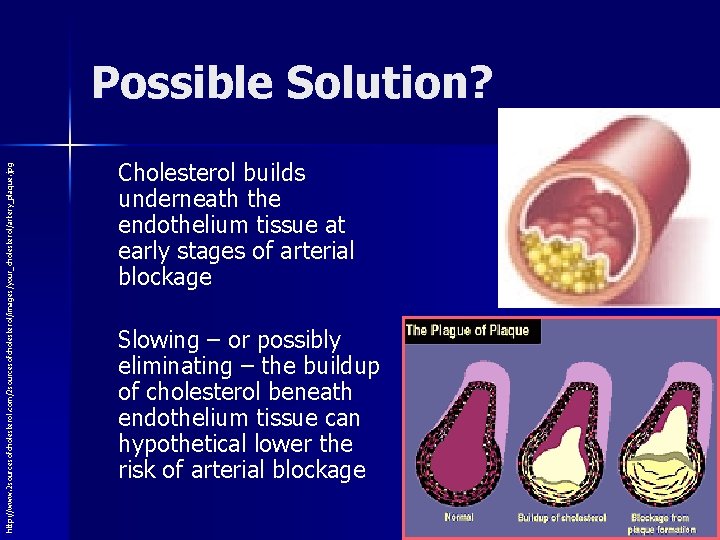 http: //www. 2 sourcesofcholesterol. com/2 sourcesofcholesterol/images/your_cholesterol/artery_plaque. jpg Possible Solution? Cholesterol builds underneath the endothelium