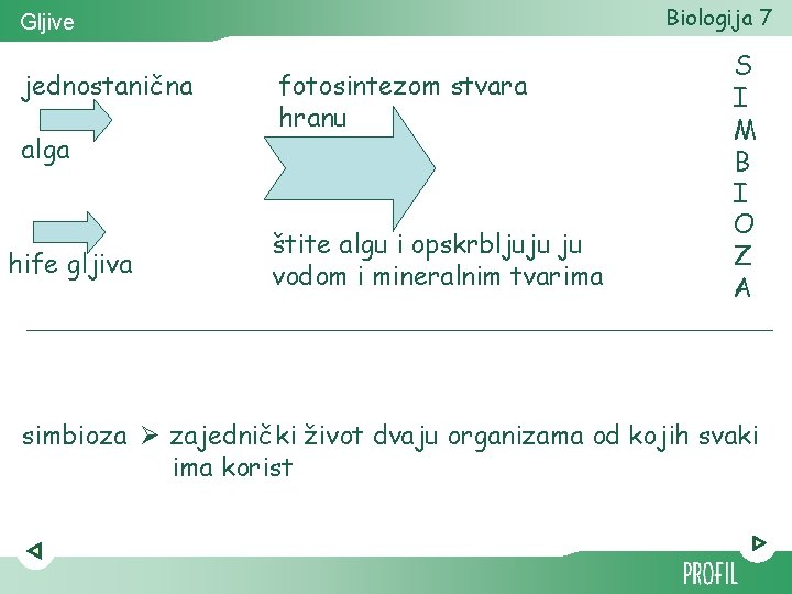 Biologija 7 Gljive jednostanična alga hife gljiva fotosintezom stvara hranu štite algu i opskrbljuju