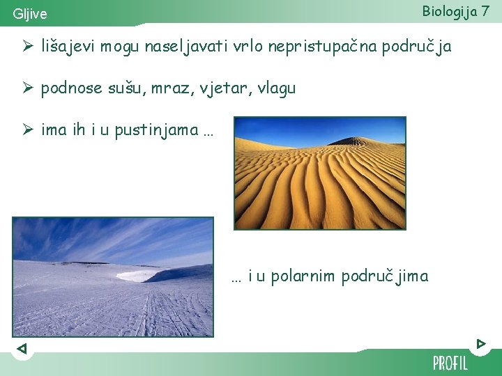 Biologija 7 Gljive Ø lišajevi mogu naseljavati vrlo nepristupačna područja Ø podnose sušu, mraz,