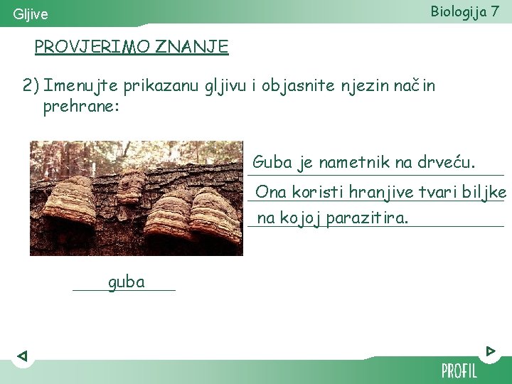 Biologija 7 Gljive PROVJERIMO ZNANJE 2) Imenujte prikazanu gljivu i objasnite njezin način prehrane: