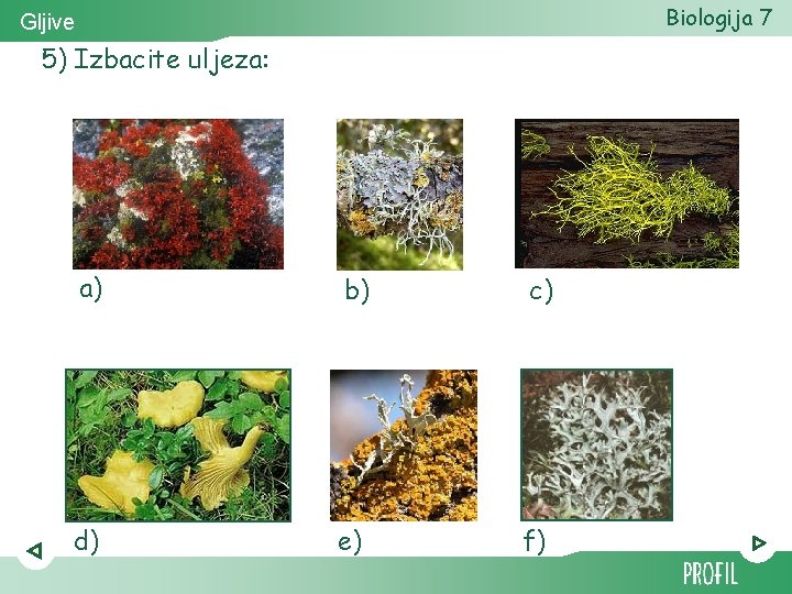 Biologija 7 Gljive 5) Izbacite uljeza: a) b) c) d) e) f) 