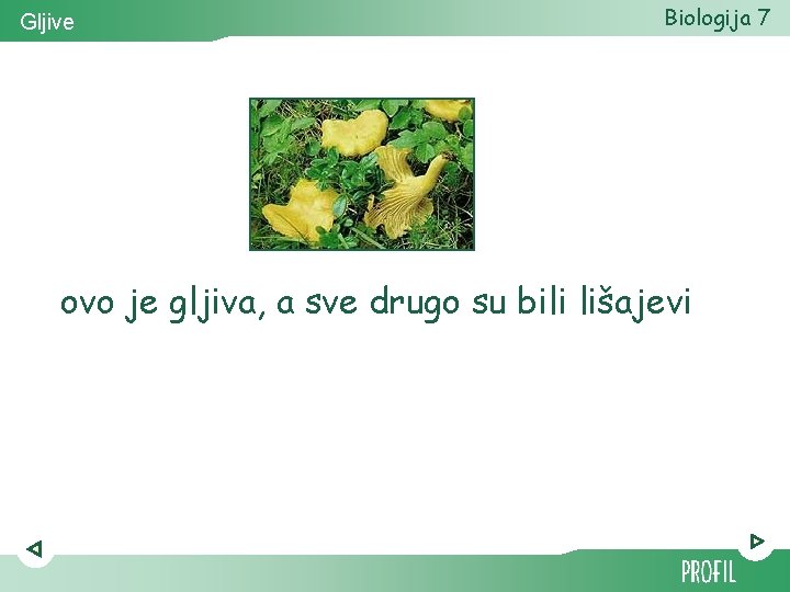 Gljive Biologija 7 ovo je gljiva, a sve drugo su bili lišajevi 