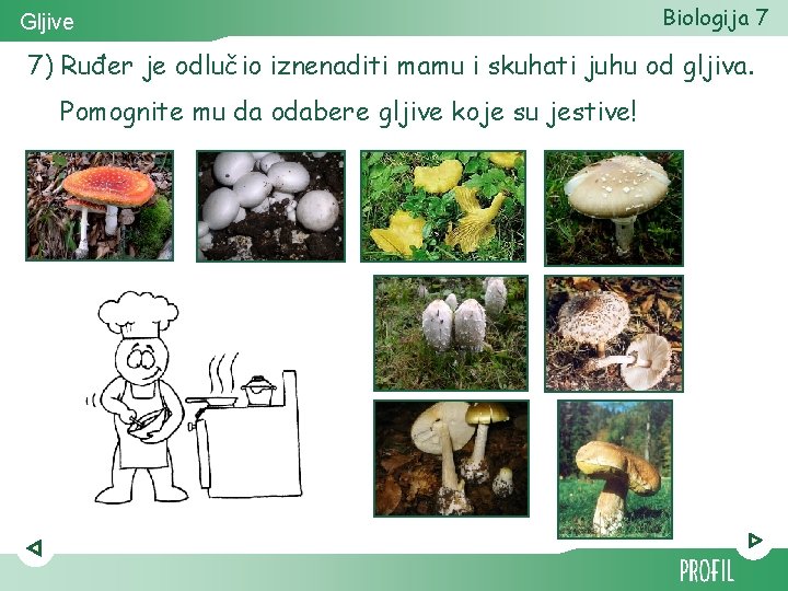 Gljive Biologija 7 7) Ruđer je odlučio iznenaditi mamu i skuhati juhu od gljiva.