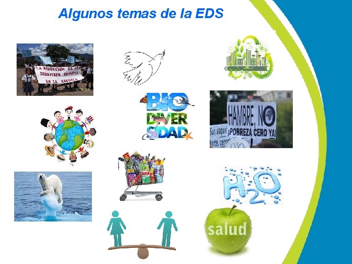 Algunos temas de la EDS 