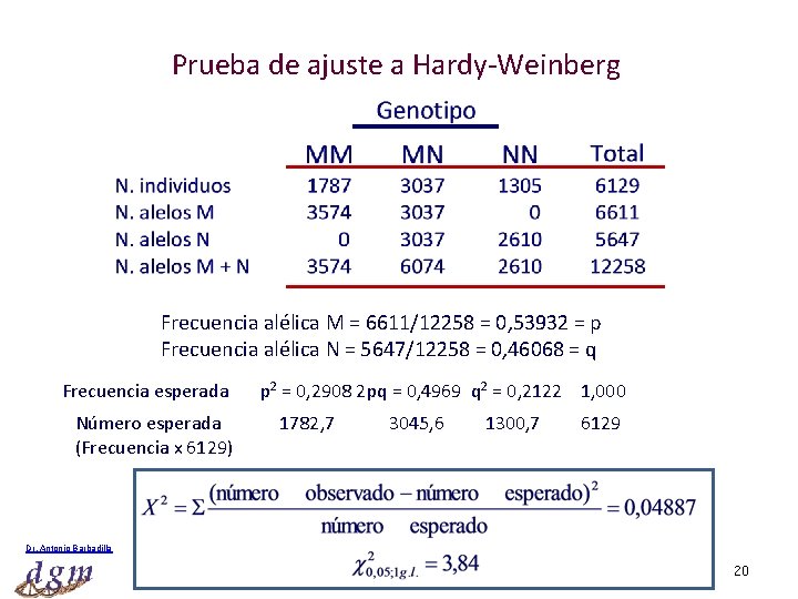 Prueba de ajuste a Hardy-Weinberg Frecuencia alélica M = 6611/12258 = 0, 53932 =