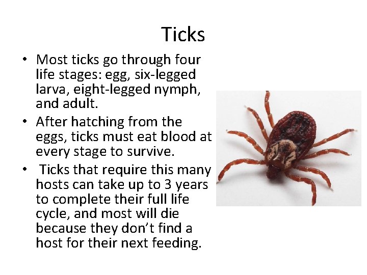 Ticks • Most ticks go through four life stages: egg, six-legged larva, eight-legged nymph,