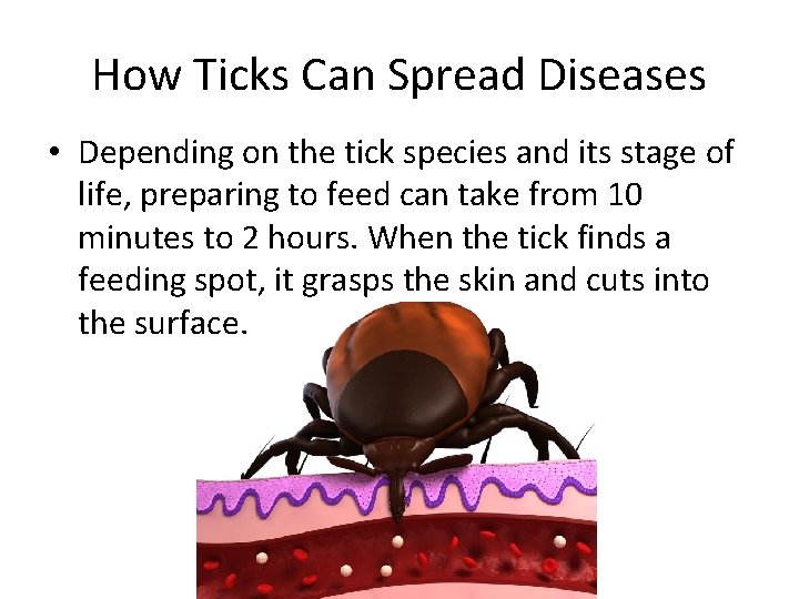 How Ticks Can Spread Diseases • Depending on the tick species and its stage