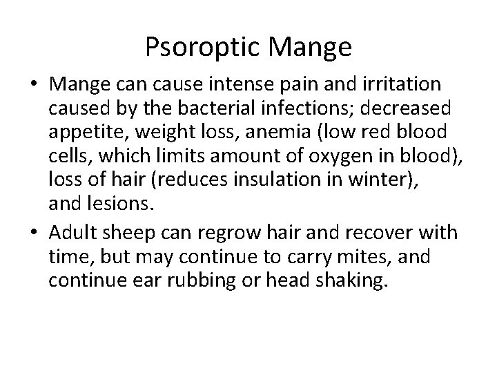 Psoroptic Mange • Mange can cause intense pain and irritation caused by the bacterial