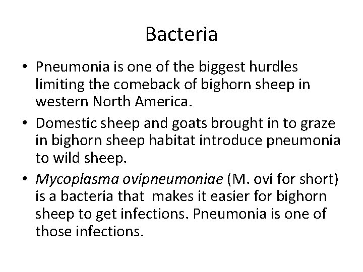 Bacteria • Pneumonia is one of the biggest hurdles limiting the comeback of bighorn