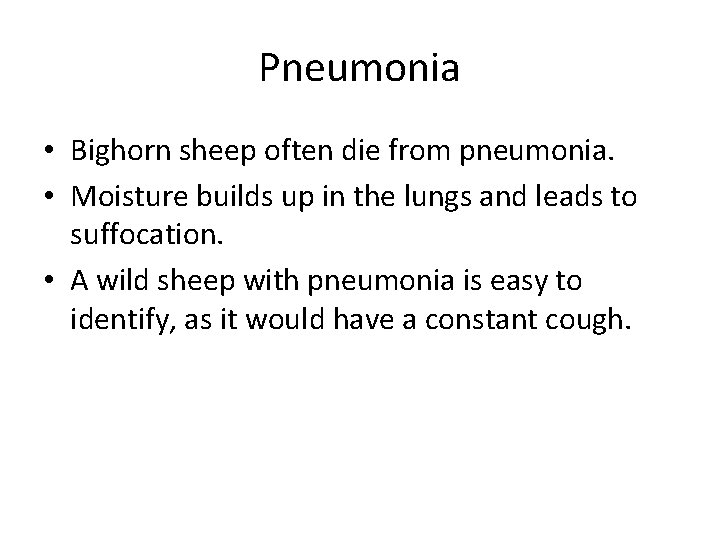 Pneumonia • Bighorn sheep often die from pneumonia. • Moisture builds up in the