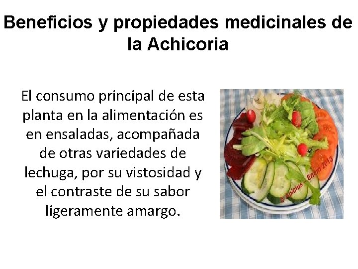 Beneficios y propiedades medicinales de la Achicoria El consumo principal de esta planta en
