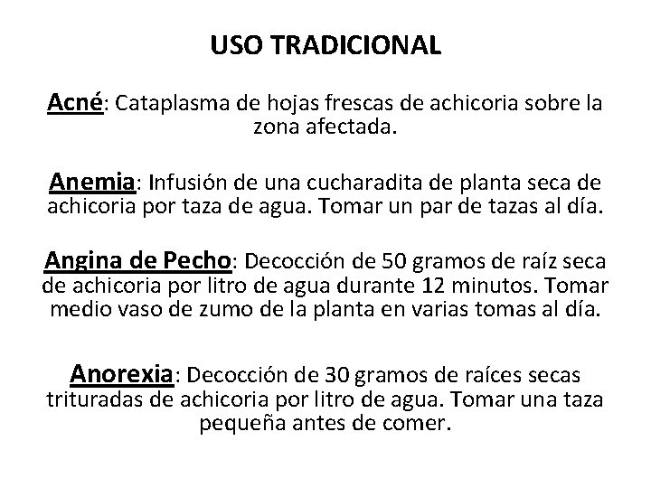 USO TRADICIONAL Acné: Cataplasma de hojas frescas de achicoria sobre la zona afectada. Anemia: