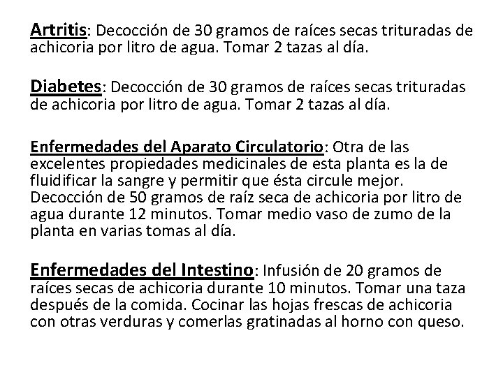 Artritis: Decocción de 30 gramos de raíces secas trituradas de achicoria por litro de