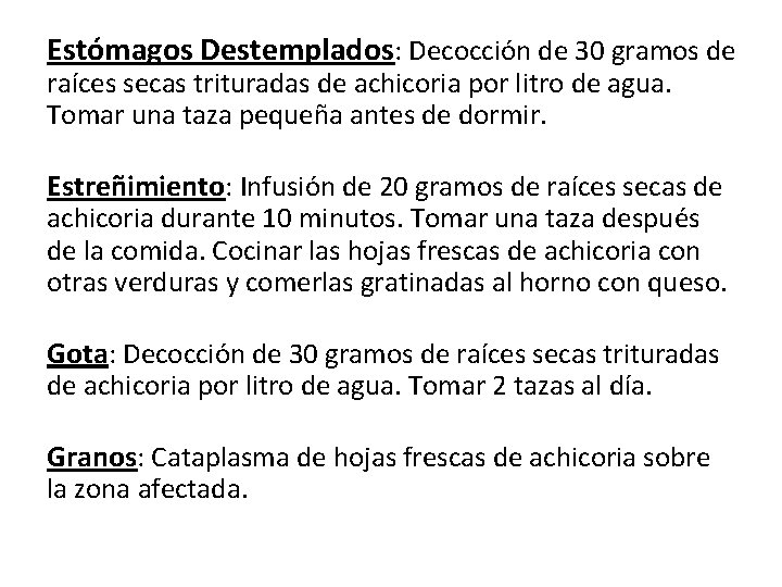 Estómagos Destemplados: Decocción de 30 gramos de raíces secas trituradas de achicoria por litro