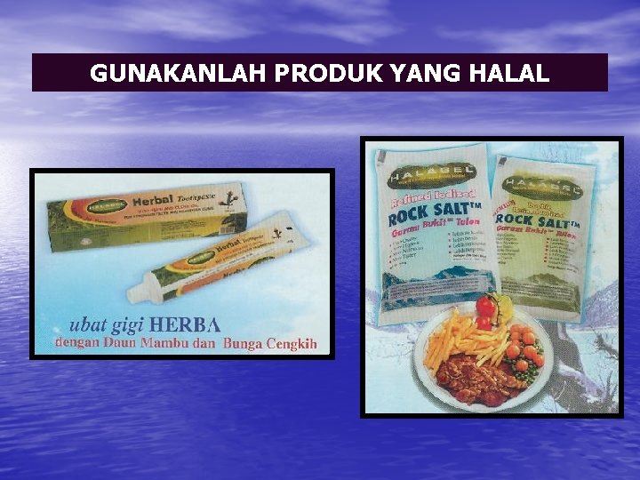 GUNAKANLAH PRODUK YANG HALAL 