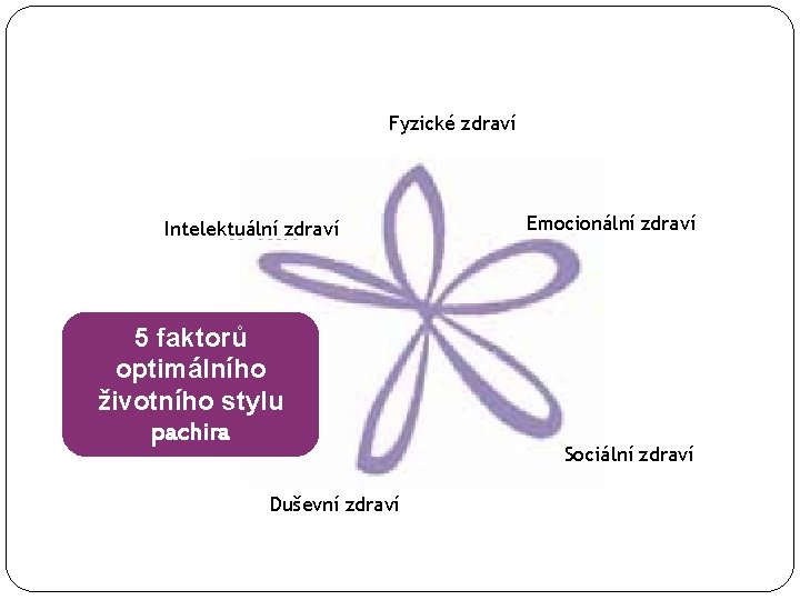 Fyzické zdraví Intelektuální zdraví 5 faktorů optimálního životního stylu pachira Duševní zdraví Emocionální zdraví