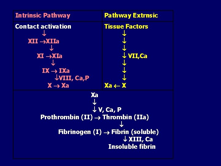 Intrinsic Pathway Extrnsic Contact activation XIIa XI XIa IXa VIII, Ca, P X Xa