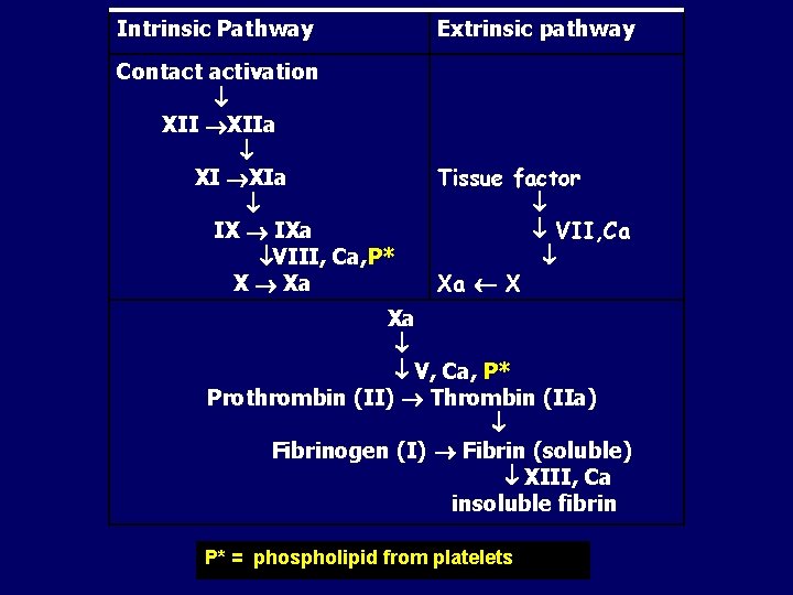 Intrinsic Pathway Extrinsic pathway Contact activation XIIa XI XIa IXa VIII, Ca, P* X