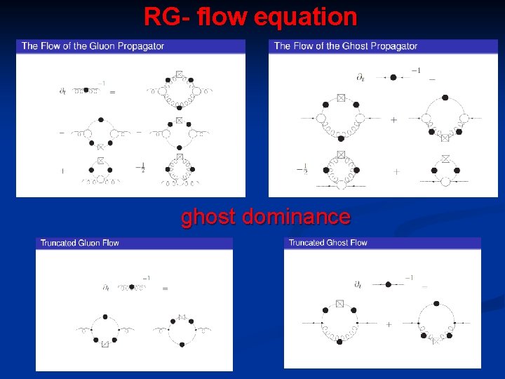 RG- flow equation ghost dominance 32 