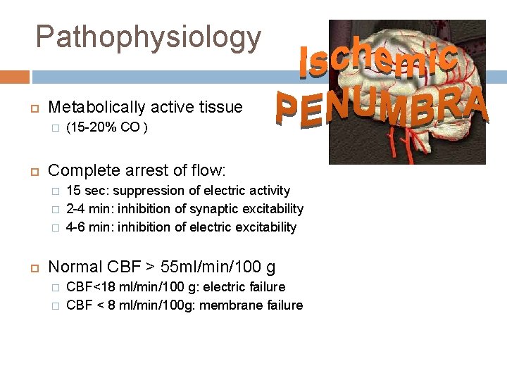 Pathophysiology Metabolically active tissue � Complete arrest of flow: � � � (15 -20%