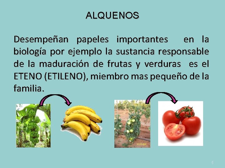 ALQUENOS Desempeñan papeles importantes en la biología por ejemplo la sustancia responsable de la