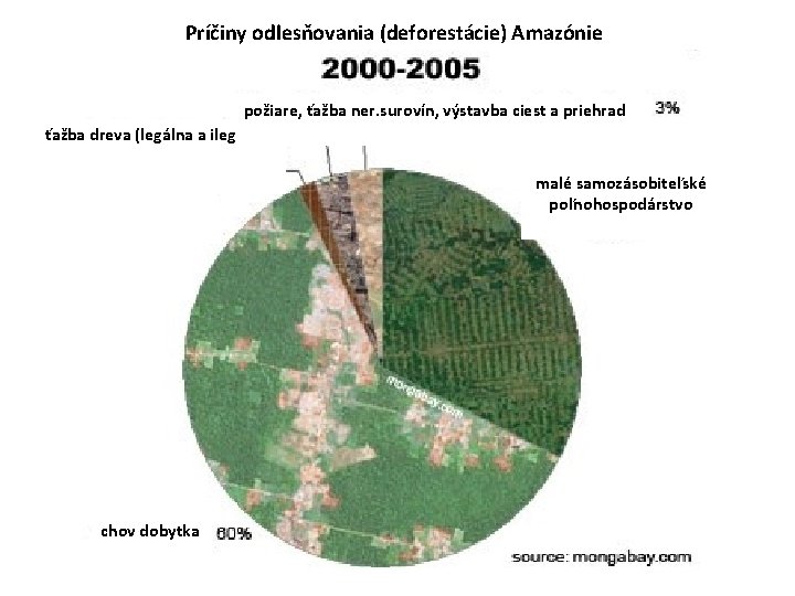 Príčiny odlesňovania (deforestácie) Amazónie požiare, ťažba ner. surovín, výstavba ciest a priehrad ťažba dreva