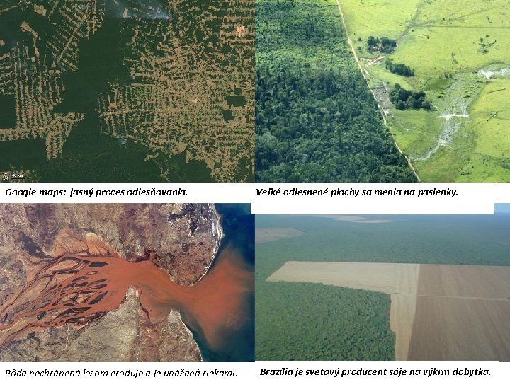 Čo je zobrazené Google maps: jasný na satelitnej proces odlesňovania. snímke ? Ako tento
