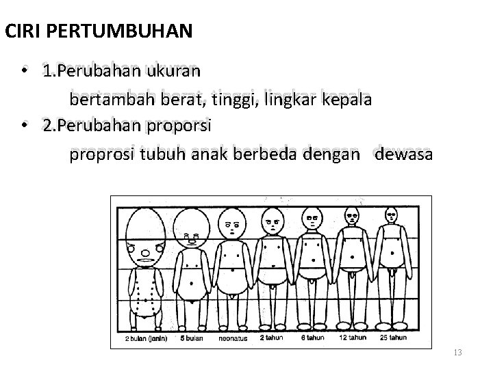 CIRI PERTUMBUHAN • 1. Perubahan ukuran bertambah berat, tinggi, lingkar kepala • 2. Perubahan