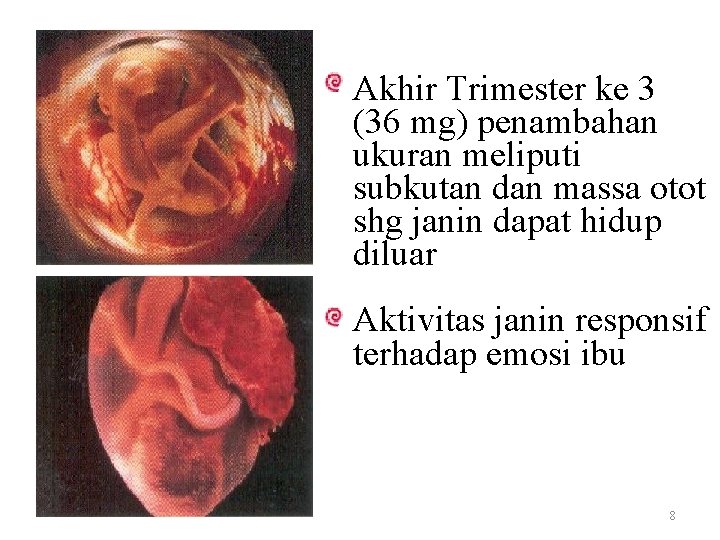 Akhir Trimester ke 3 (36 mg) penambahan ukuran meliputi subkutan dan massa otot shg