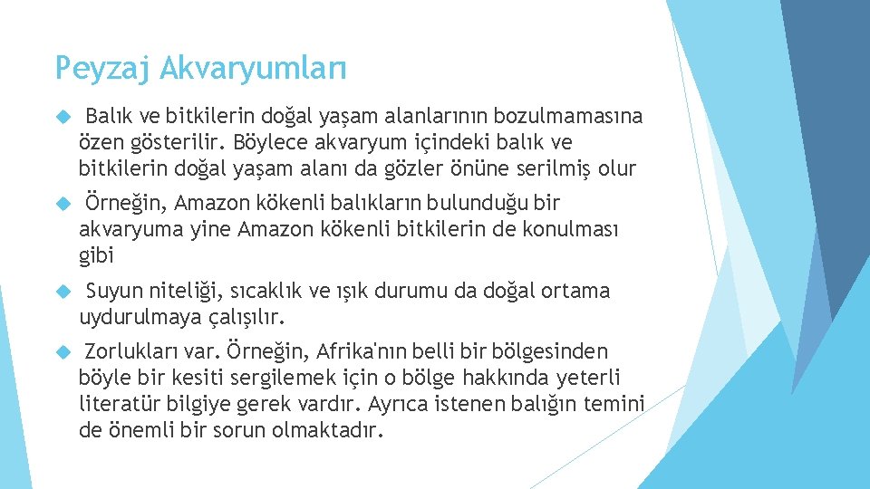 Peyzaj Akvaryumları Balık ve bitkilerin doğal yaşam alanlarının bozulmamasına özen gösterilir. Böylece akvaryum içindeki