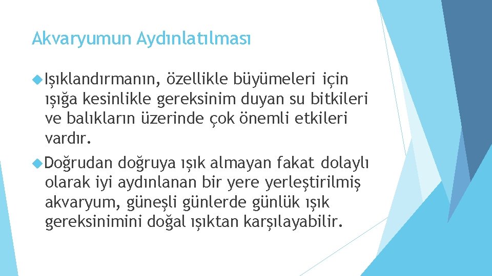 Akvaryumun Aydınlatılması Işıklandırmanın, özellikle büyümeleri için ışığa kesinlikle gereksinim duyan su bitkileri ve balıkların