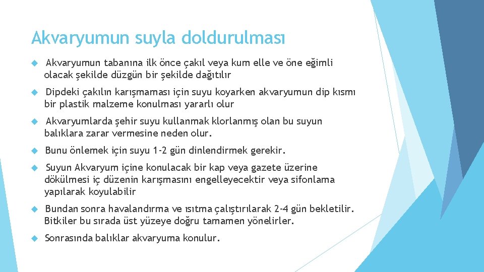 Akvaryumun suyla doldurulması Akvaryumun tabanına ilk önce çakıl veya kum elle ve öne eğimli