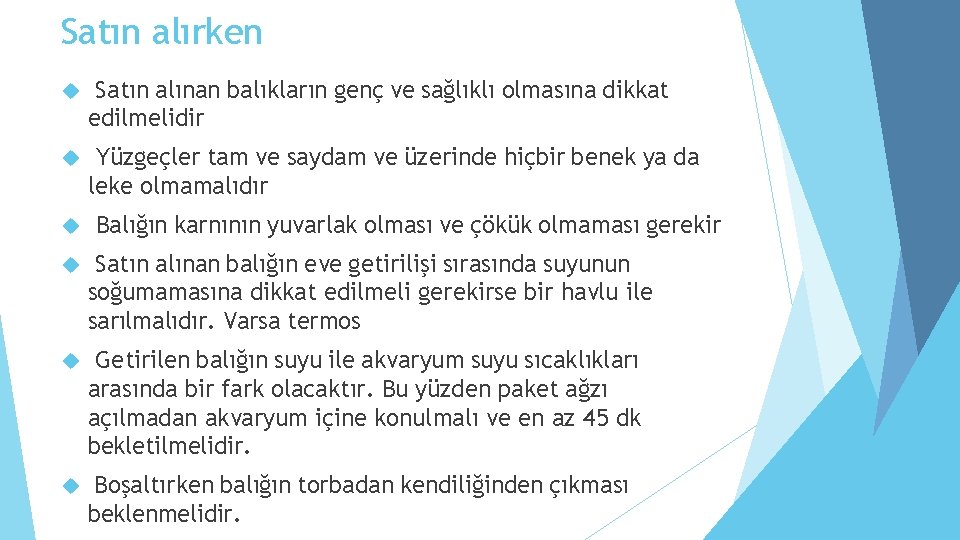 Satın alırken Satın alınan balıkların genç ve sağlıklı olmasına dikkat edilmelidir Yüzgeçler tam ve