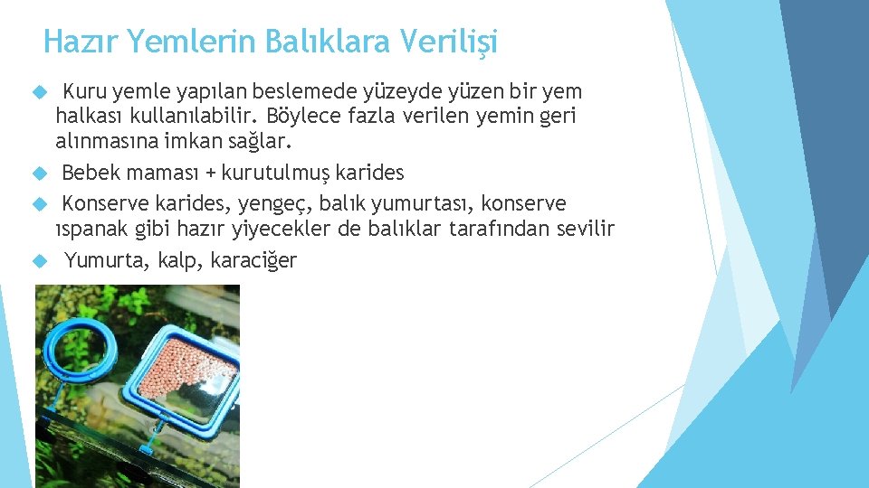 Hazır Yemlerin Balıklara Verilişi Kuru yemle yapılan beslemede yüzeyde yüzen bir yem halkası kullanılabilir.