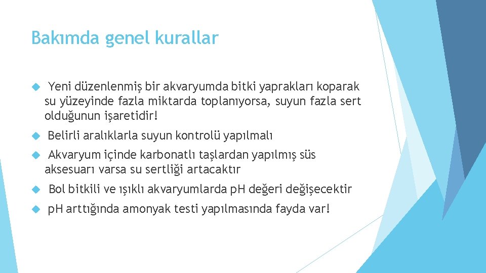 Bakımda genel kurallar Yeni düzenlenmiş bir akvaryumda bitki yaprakları koparak su yüzeyinde fazla miktarda