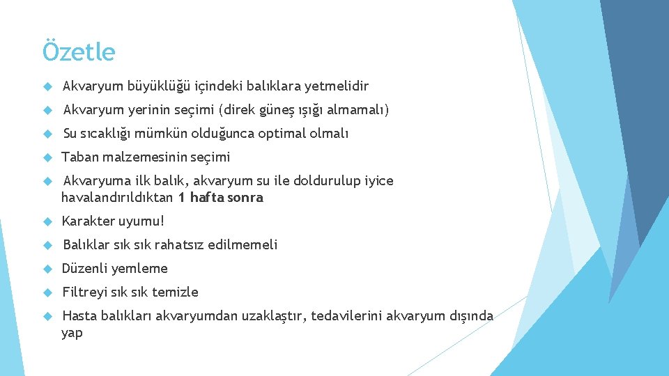 Özetle Akvaryum büyüklüğü içindeki balıklara yetmelidir Akvaryum yerinin seçimi (direk güneş ışığı almamalı) Su